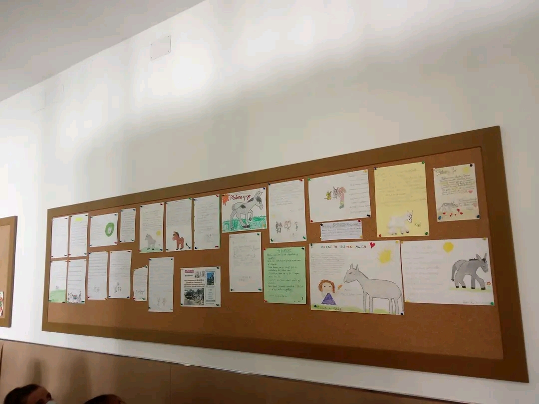 Galería